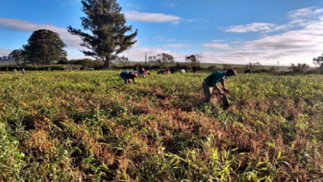 Comunidades Agricolas